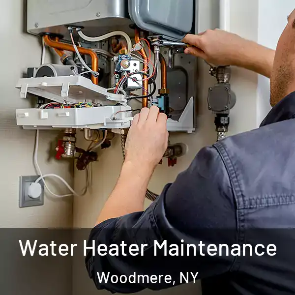 Water Heater Maintenance Woodmere, NY